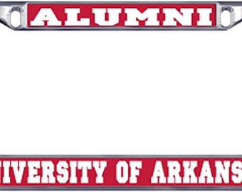 L'Università Fudan Permette Ai Topi Ciechi Di Vedere Come Il Predatore - News - Foto 10