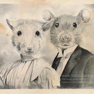 Rat Couple© . Original pencil art, and signed prints. #46 Victorian animal art from the Anicurio™ collection by British artist Keith Harrop.