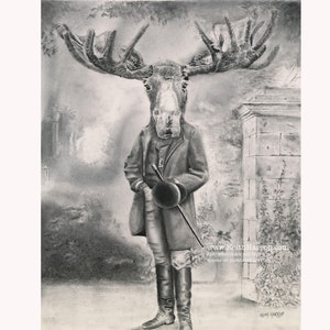 Moose. Signed pencil art prints.  #34 Victorian animal art from the Anicurio™ collection by British artist Keith Harrop.