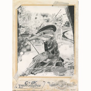 Puede incluir: Un dibujo a lápiz en blanco y negro de un pájaro con un sombrero y un vestido, sentado en una roca con una caña de pescar y una cesta. El dibujo está enmarcado en un estilo vintage.