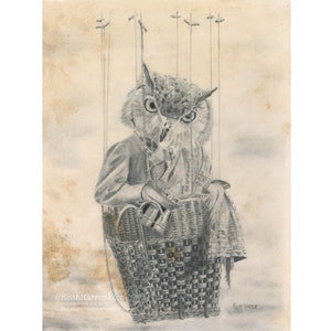 Puede incluir: Un dibujo a lápiz en blanco y negro de un búho con una chaqueta sentado en una cesta de mimbre. El búho está atado a cuerdas que están conectadas a un globo aerostático. El dibujo está firmado "Keith Harrop".