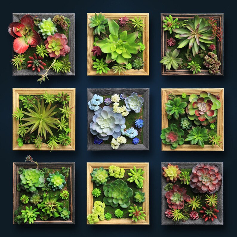 25cm25cm Artificial Plant Wall Photo Frame Decorative Wall Etsy