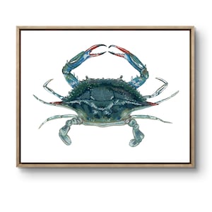 Blue Crab signed digital print