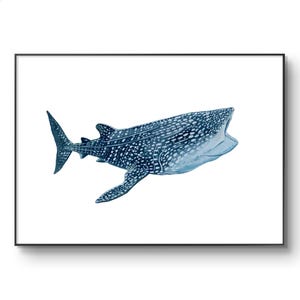 Signed Whale Shark digital print