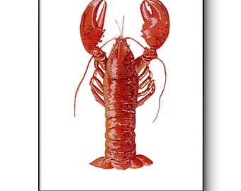 Lobster digital signed print
