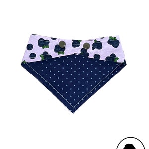 Pet Bandana - Reversible, Snap closure, Curved neck - Blueberries and Blue polka dots