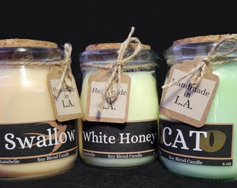 The Witcher Inspired Potion Glass Jar Candle: 6 OZ