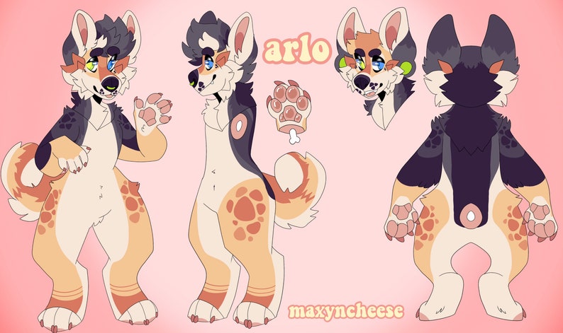 custom three sided fursona reference sheet
