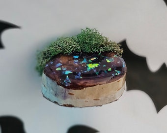 Jeweled & Mossy Wood Ledge | Magnetic Jumping Spider Platform