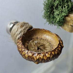 Jumping Spider Magnet Eichel Leiste