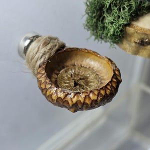 Jumping Spider Magnetic Acorn Ledge/Hide (multiple style)