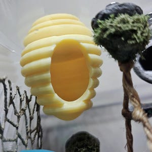 Oh Honey, BeeHive Hide | Magnetic Jumping Spider Hide