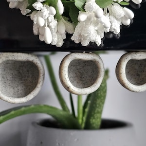 Jumping Spider Stone Cave Hide **Magnetic**
