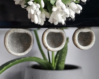 Jumping Spider Stone Cave Hide **Magnetic**