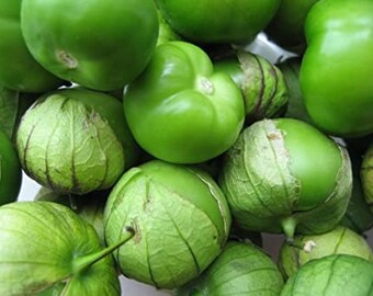 May include: A close-up of a group of green tomatillos. The tomatillos are arranged in a pile, with some of them showing their papery husks.