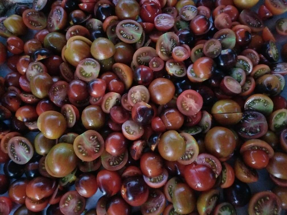 15x Midnight Snack Cherry Tomato Seeds | Etsy