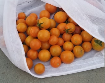 15x Orange Paruche Hybrid Cherry Tomato Seeds