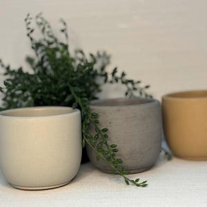 Könnte beinhalten: Drei kleine, runde Keramik-Pflanzgefäße in Creme, Grau und Beige. Die Pflanzgefäße sind in einer Reihe angeordnet, mit einem Zweig Grünzeug im Hintergrund. Diese Pflanzgefäße sind ideal für kleine Pflanzen oder Sukkulenten.