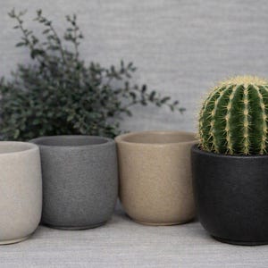 May include: A set of four small, cylindrical plant pots with a textured, matte finish in shades of off-white, gray, beige, and black. A round, green, spiky cactus is planted inside the black pot, while the other three pots remain empty.