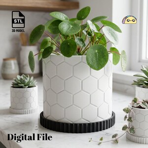 Hexagon Planter STL Files | 3 Sizes | Honeycomb Plant Pot 3D Print with Tray (Digital Download)