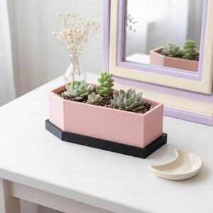 A pale pink coffin-shaped planter box with a black base rests on a white tabletop containing multiple green succulents, with a mirror and small dish nearby.