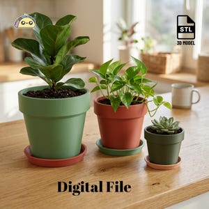 Eenvoudige plantenpot STL-bestanden | 3 maten | 3D-printbare plantenpot met onderschaal (digitale download)