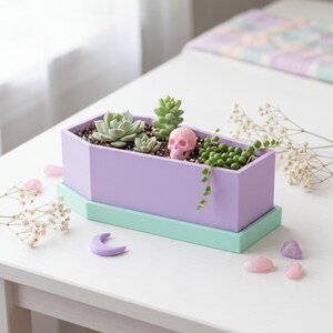 A light purple coffin-shaped planter box with a mint green tray sits on a white table filled with succulents, a small pink skull, and scattered crystals.