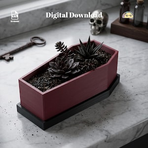 May include: A maroon coffin-shaped planter with a black base, containing dark green succulents in soil. The image includes the text Digital Download and 3D Model. A metal key and a skull are visible in the background, along with small glass bottles.