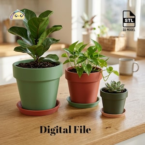 Può includere: Tre vasi per piante con sottovasi abbinati di varie dimensioni e colori, tra cui un grande vaso verde salvia con sottovaso terracotta, un vaso medio terracotta con sottovaso verde salvia e un piccolo vaso verde scuro con un sottovaso color pesca.