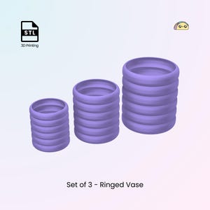 Peut inclure: Ensemble de trois vases lavande annelés. Chaque vase a une forme cylindrique avec des détails annelés horizontaux. Les vases varient en hauteur, créant un affichage en gradins. Le texte "Set of 3 - Ringed Vase" est en bas.