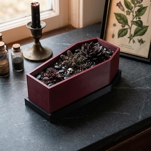 A dark red coffin-shaped planter with a black base, filled with dark succulents and small pebbles, sits on a dark surface next to a lit candle in a holder and a framed botanical print.