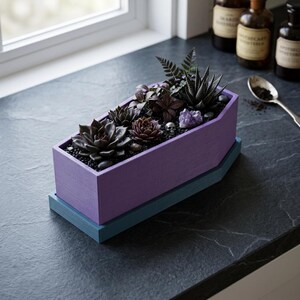A purple coffin-shaped planter with a blue base, filled with various dark succulents, small black pebbles, and tiny skull decorations, sits on a dark countertop.