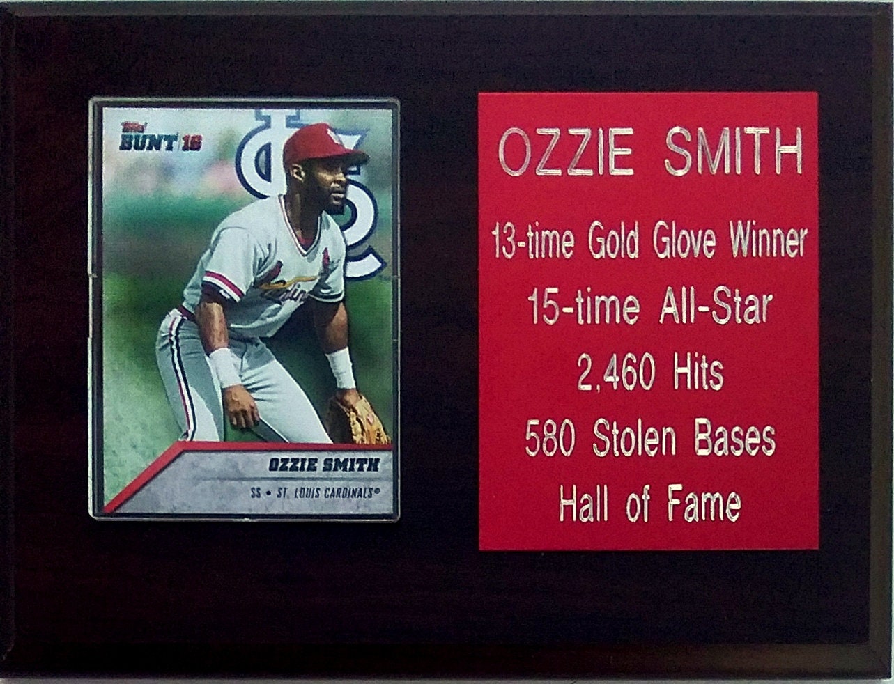 Lot Detail - OZZIE SMITH'S 2011 ST. LOUIS CARDINALS WORLD SERIES RING IN  ORIGINAL PRESENTATION BOX