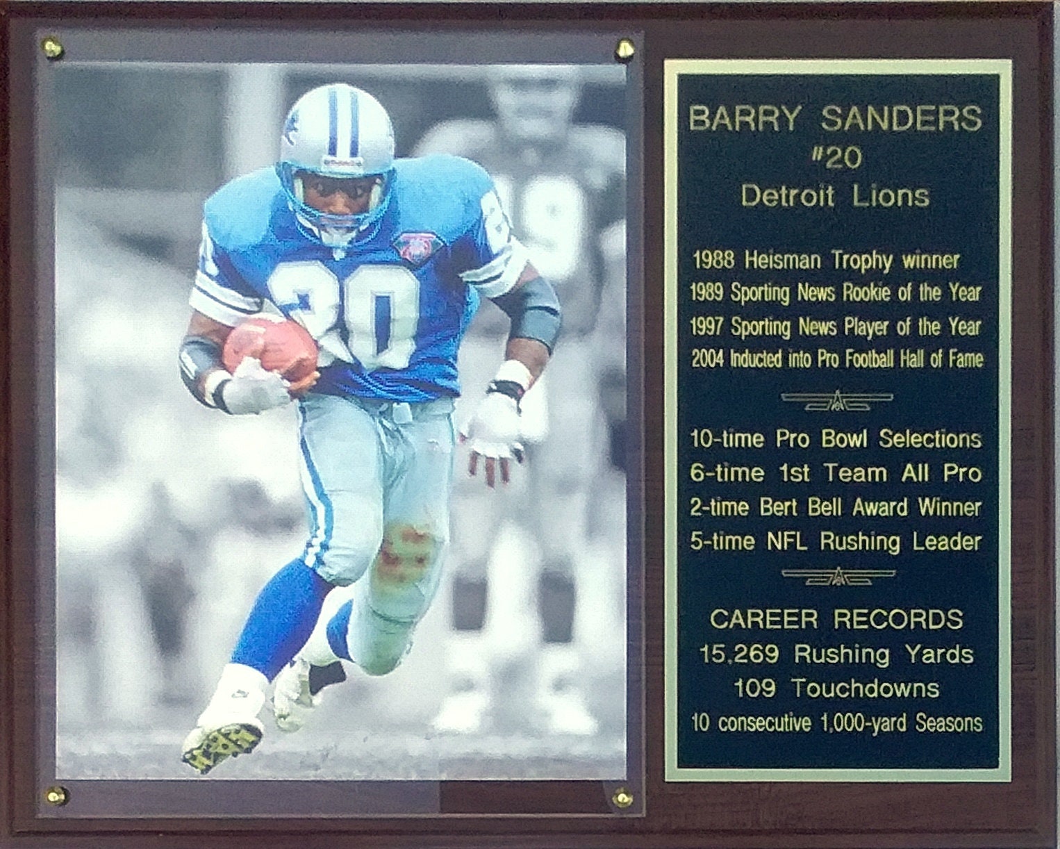 Barry Sanders Detroit Lions 12x15 Stats Plaque Etsy UK