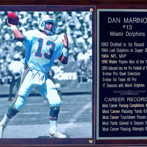 Dan Marino Miami Dolphins 12x15  Stats Plaque