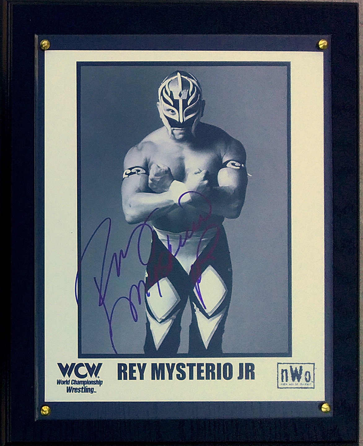 Rey Mysterio 20th Anniversary Signature Series Championship