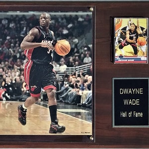 Dwyane Wade Miami Heat 12x15 Player Plaque