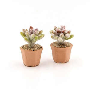 2 Miniaturowe repliki kaktusa