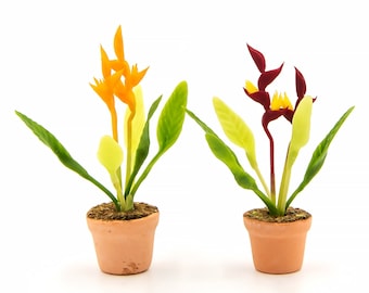 2 Miniature plants Dollhouse plants