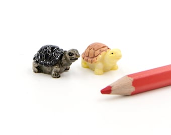 2 miniatuurschildpadjes, sprookjestuin