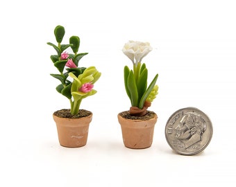 2 plantas para casa de bonecas em miniatura realistas
