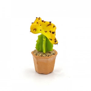 Miniature cactus Props replica