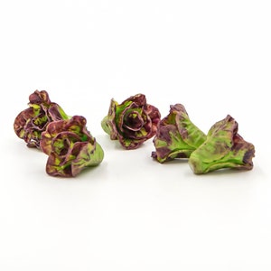 5 Miniature lettuce Dollhouse miniatures Fairy garden accessories