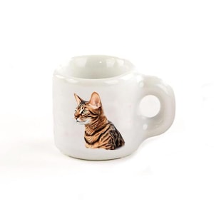 Miniature Cat mug Toyger