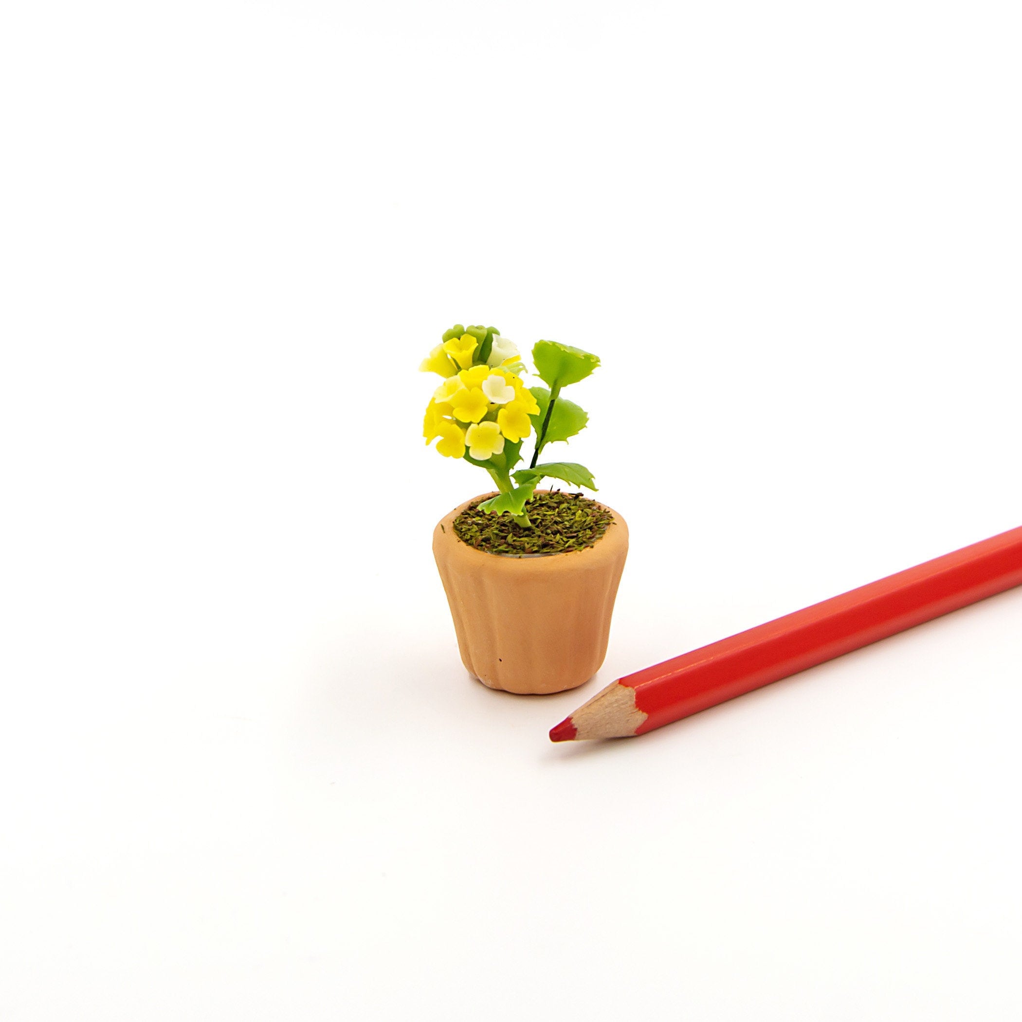Miniature plant Dollhouse garden