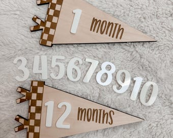 Handcrafted Boho Baby Milestone Pennant Set - Monthly Newborn Announcement Cards