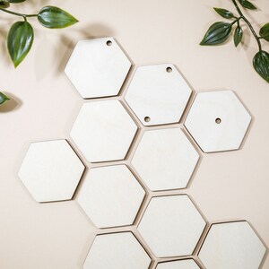 Puede incluir: Un conjunto de diez formas hexagonales de madera sin terminar dispuestas en un patrón de panal. Los hexágonos son todos del mismo tamaño y tienen un color de madera natural.