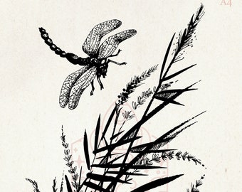 Reeds and Dragonfly SilkScreen Stencil - Reusable, Adhesive - Canvas, Cards, Glass, Ceramics, Tile, Wall, Fabric, Wood, Clay, Chalkboard etc