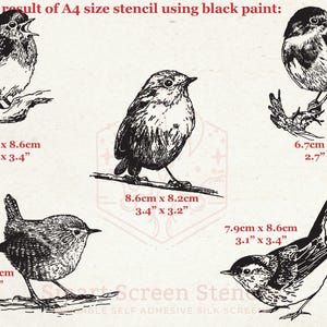 Robin Bird zeefdrukstencil - herbruikbaar, naadloos, ambachtelijk - canvas, kaarten, glas, keramiek, aardewerk, klei, stof, hout, metaal, papier