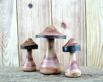 Handcrafted Wooden Mushroom Set - Rustic Woodland Folk Art Home Decor